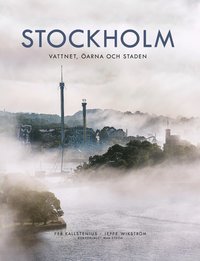 3 böcker om Stockholms historia du måste spana in