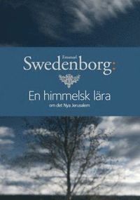 Emanuel Swedenborgs 3 bästa böcker du måste läsa