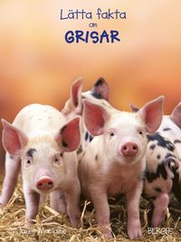 3 barnböcker om grisar att läsa