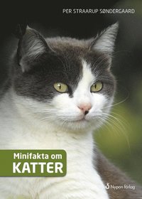 3 barnböcker om katter du måste spana in