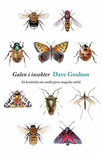 Bästa boken om insekter du aldrig läst