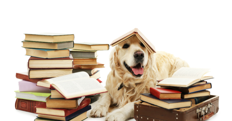 hund som läser bästa hundböckerna