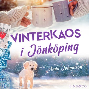 5 böcker som utspelar sig i Jönköping du aldrig läst