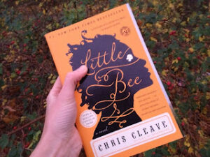 Bokrecension: Little Bee är en käftsmäll för sådana som mig